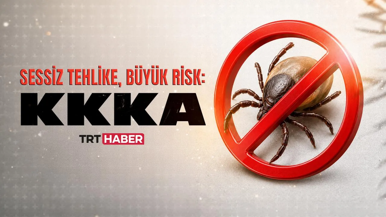 Kene Isırığında İlk 72 Saat Hayati: KKKA'dan Korunmanın Yolları