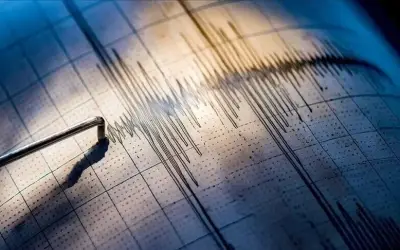Endonezya'da 7,7 Büyüklüğünde Deprem: Tsunami Alarmı Verildi mi?