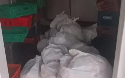 Bodrum'da 400 Kilo Bozuk Et İmha Edildi! Denetimden Kaçan Etler Halk Sağlığını Tehdit Etti