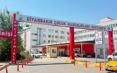 Kedinin Tırmaladığı Çocukta Kuduz Tespit Edildi! Sur'da Alarm