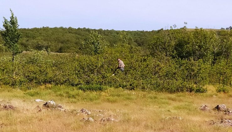 BİNGÖL VALİLİĞİ’NDEN “ORMAN KESİMİ” TARTIŞMALARINA YANIT: “FAALİYETLER PLANLI VE BİLİMSEL”