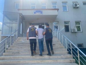 Bingöl’de Jandarmadan Büyük Operasyon: 7 Hükümlü Yakalandı, 6 Bin 905 Kök Kenevir Ele Geçirildi